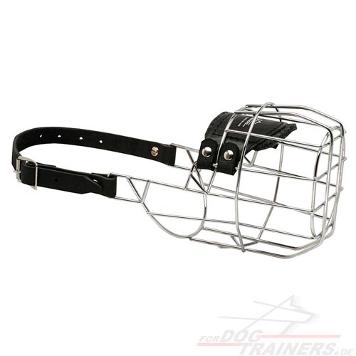 Wire dog muzzle buy