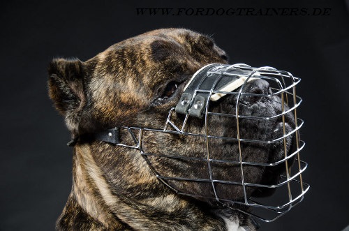 Maulkorb aus Stahl für Cane Corso kaufen