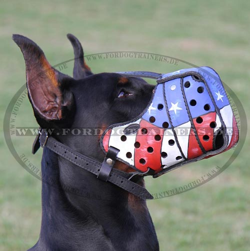 Dobermann Maulkorb mit Bemalung kaufen