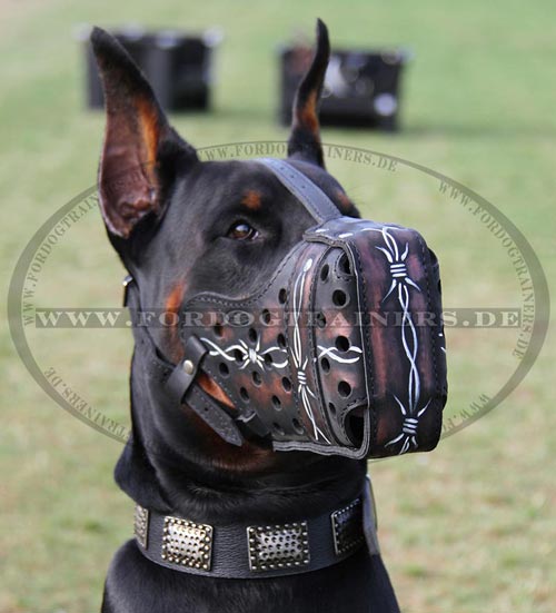 Leather dog muzzle for Dobermann