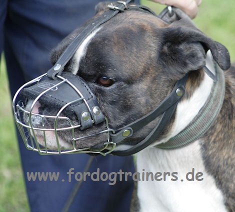 Wire cage muzzle for German Boxer buy