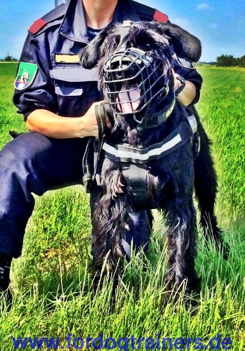 Ppolice dog muzzle for riesenschnauzer