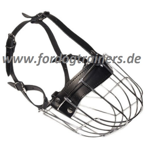 Wire dog muzzle for small dog breeds
