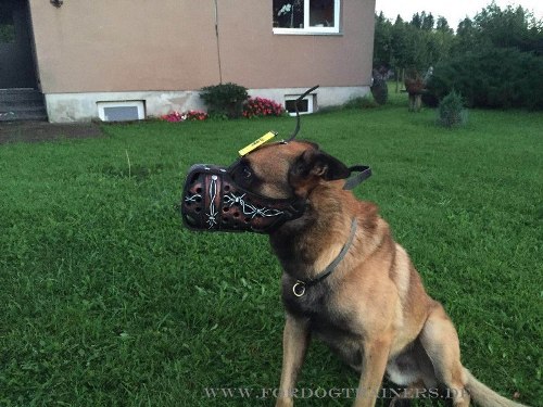 Gepolsterter Leder Malinois Beisskorb