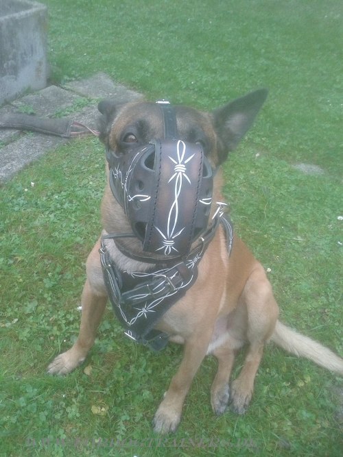 Painted leather dog muzzle buy