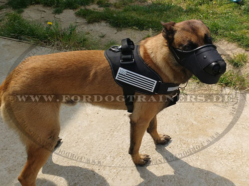 Leder Nylon Maulkorb für Malinois