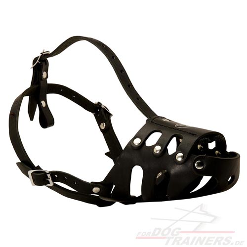 Leather dog muzzle for dogs with long mouth