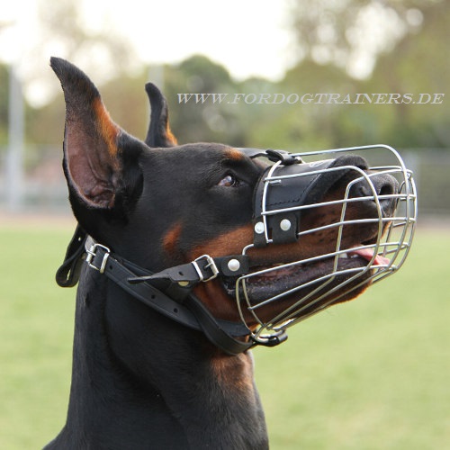 Doberman wire cage muzzle for dogs with long mouth
