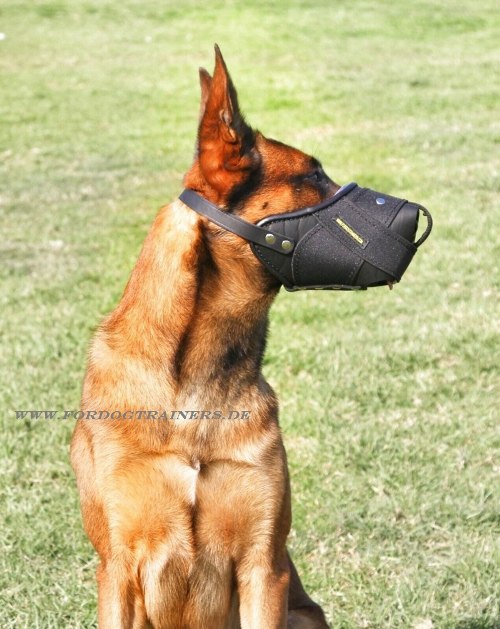Malinois dog muzzle from leather with nylon