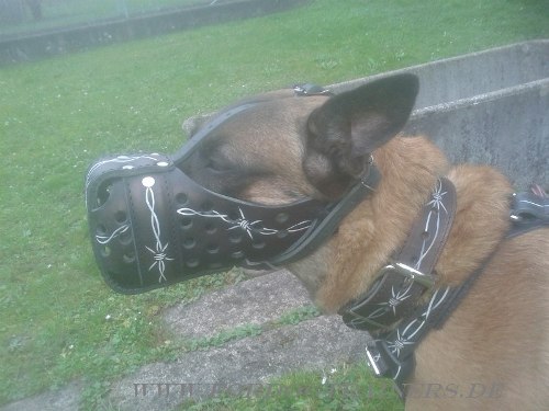 Gepolsterter Leder Malinois Hundemaulkorb