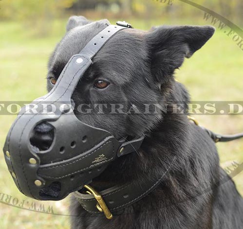 Stossmaulkorb für Deutschen Schäferhund, Ledermaulkorb