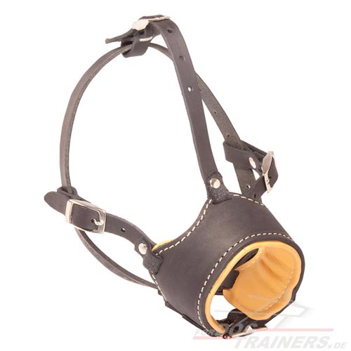 Dog muzzle of genuine leather buy