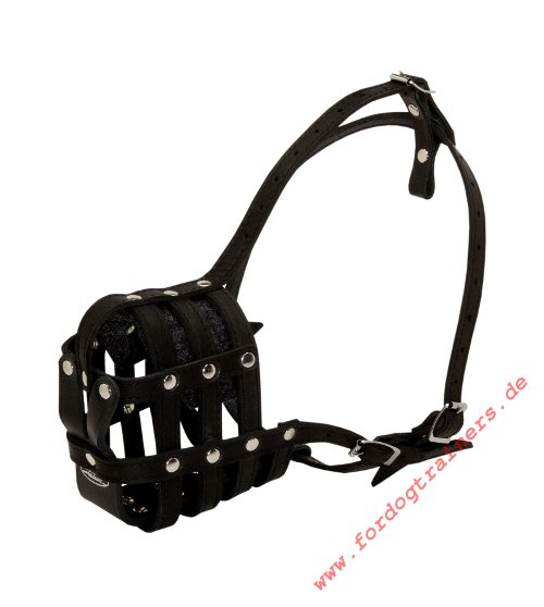 Dogge
light weight muzzle