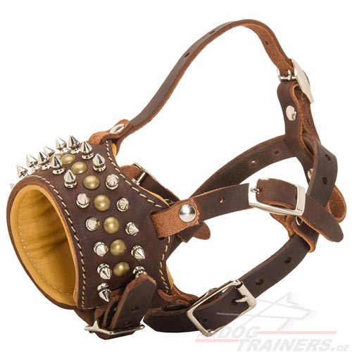 WLeather dog muzzle with spikes