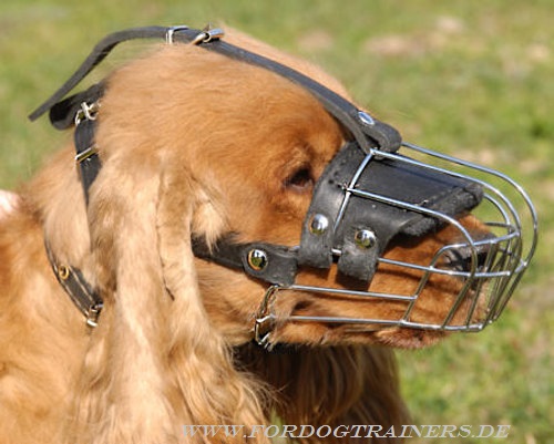 Dog muzzle of wire for Cocker Spaniel buy