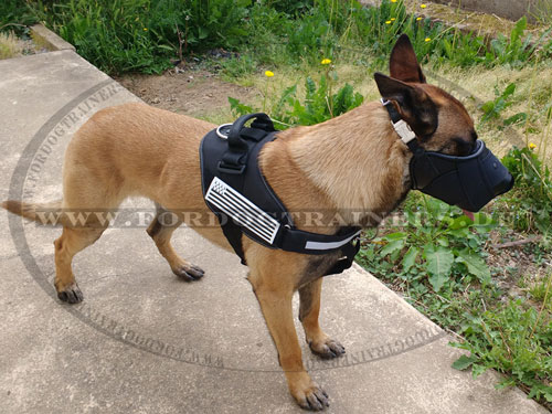 Leder Nylon Maulkorb für Malinois