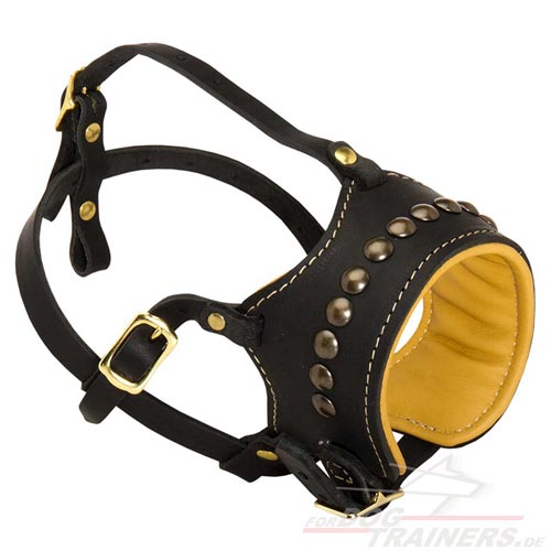 Studded dog muzzle with padding buy