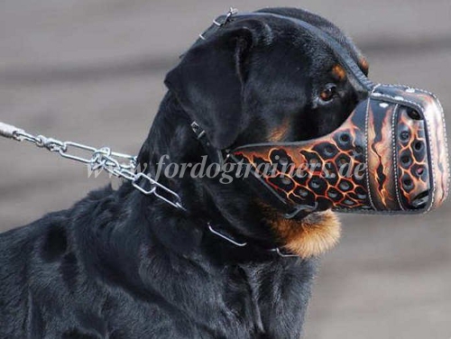 rottweiler maulkorb k9 Vulkaan bemalung