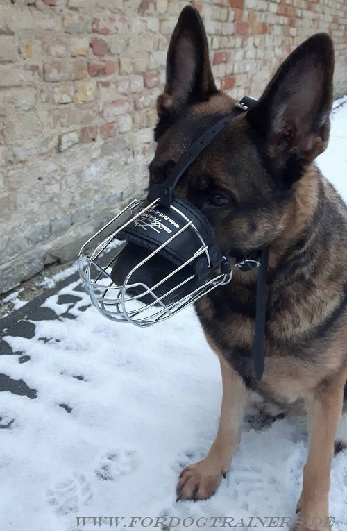 German Shepherd wire cage muzzle for dogs with long mouth