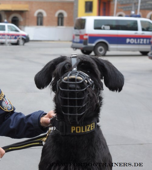Hundemaulkorb gummiert
für Schwarzen Terrier