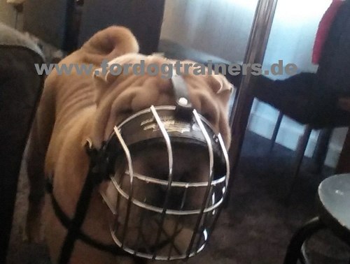 Metal cage muzzle for everyday buy