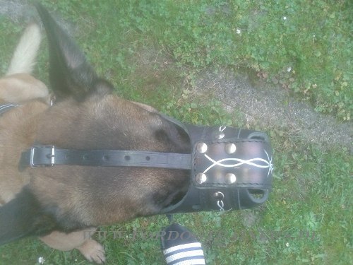 Dog muzzle with 