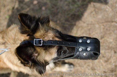Polizei Hundemaulkorb aus Leder für Tervueren