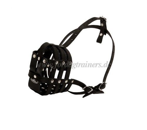 Leather muzzle buy dog online Berlin