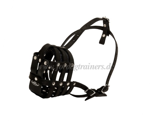 Leather muzzle buy online Berlin