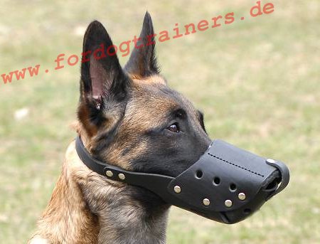 Alltagmaulkorb kaufen für Belgischer Malinois