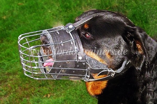 Rottweiler Drahtmaulkorb für Hunde mit breiter Schnauze