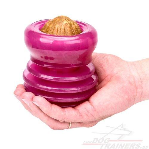Kau-Hundespielzeug Groovy Ball von Starmark