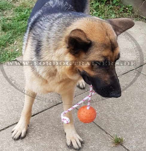 Sicheres Hundespielzeug Natural| Welpenspielzeug für Wasser