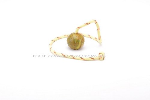 fetch  dog ball buy
