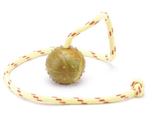Dog toy rubber ball