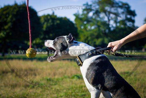 Bestseller Hundespielzeug Gummiball mit Schnur, 7 cm TOP Qualität