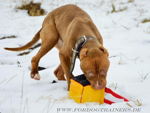 Hundespielzeug aus French Leinen