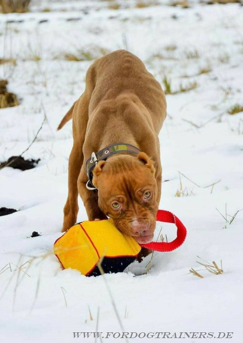 Weiches Pitbull Hundespielzeug