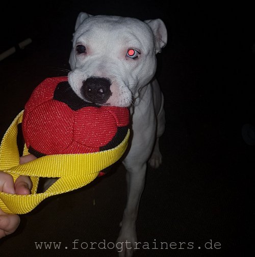 Wurfball aus Leinen für Amstaff