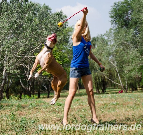 Hundespielzeug
Gummiball an Schnur