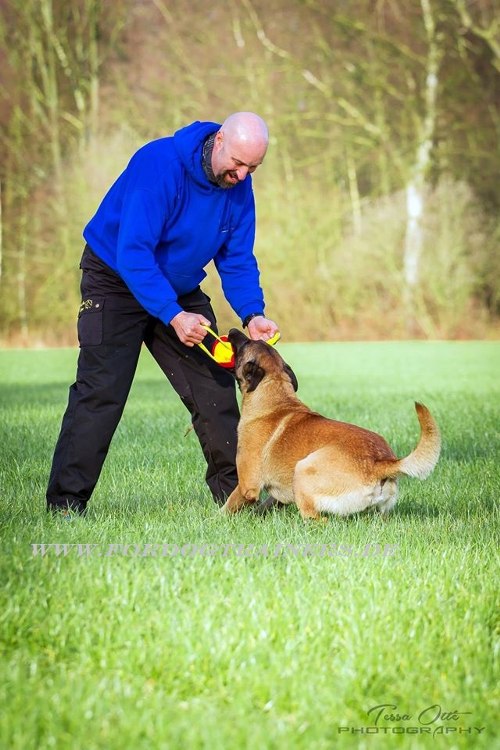 Hundeball für Hundetrainings