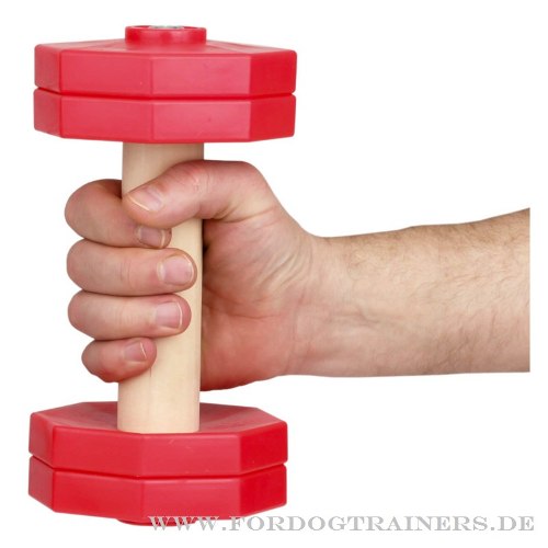 Buy apport dumbbels for trainings with dog of hard wooden
