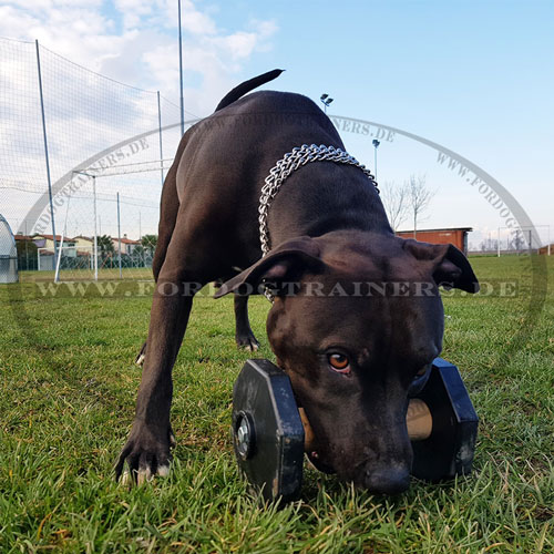 Apportierholz für Schutzhund Training