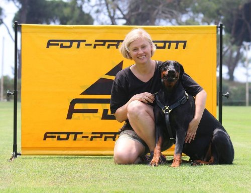 Hürde für Hundetraining