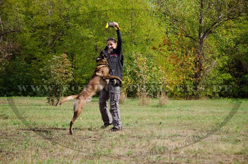 Shepherd Training Toy