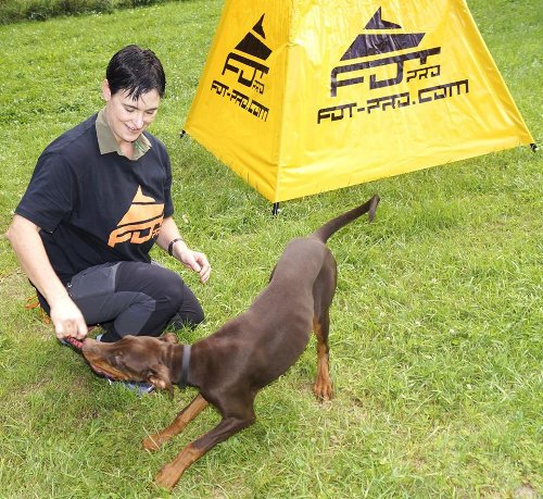 Schönes T-Shirt für Hundetrainer