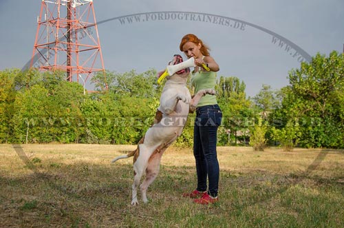 Bringsel aus Baumwolle für Bulldogge