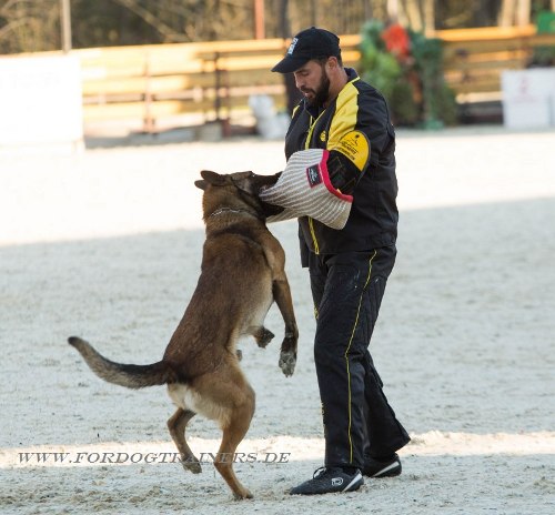Schutzarm für Schutzhund Training