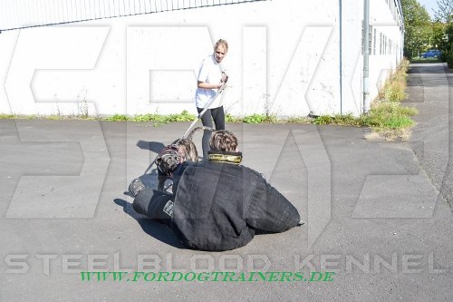 Schutzanzug für Polizeihunde