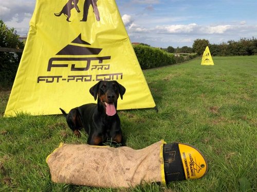 Schutzarm Jute für Hundetraining